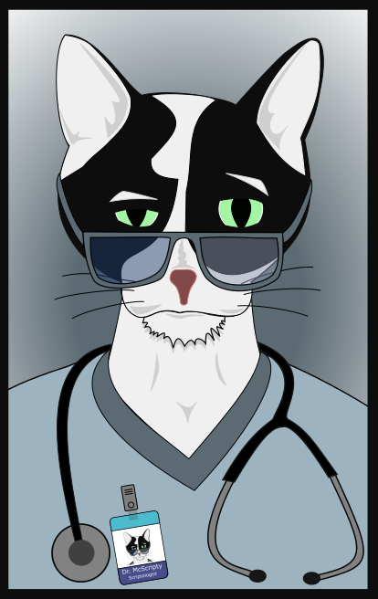 Dr. McScripty — Script Doctor mascot, a tuxedo cat in scrubs with a stethoscope